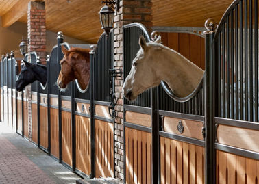 Interior Solid Back European Horse Stalls 12 Kaki Panjang 220cm Tinggi